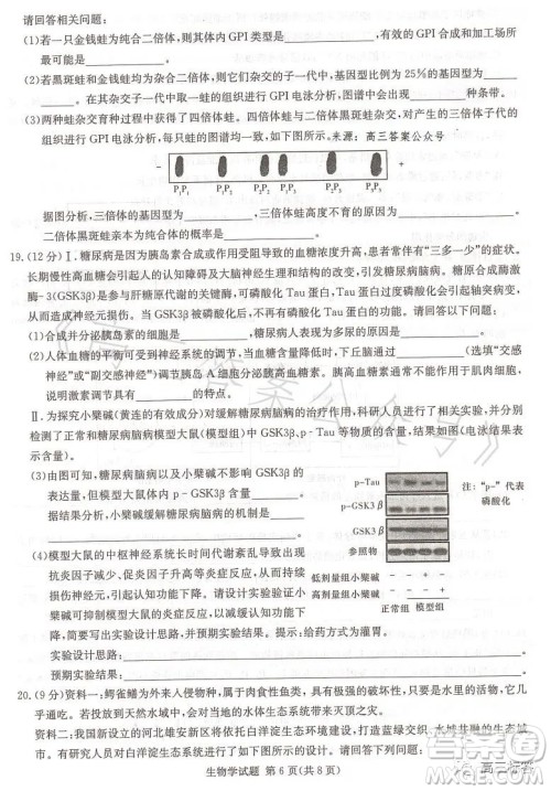 名校联考联合体2023年春季高二期末联考暨新高三适应性联合考试生物学试卷答案 名校联考联合体2023年春季高二期末联考暨新高三适应性联合考试生物学试卷答案