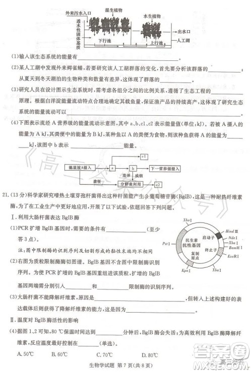 名校联考联合体2023年春季高二期末联考暨新高三适应性联合考试生物学试卷答案 名校联考联合体2023年春季高二期末联考暨新高三适应性联合考试生物学试卷答案