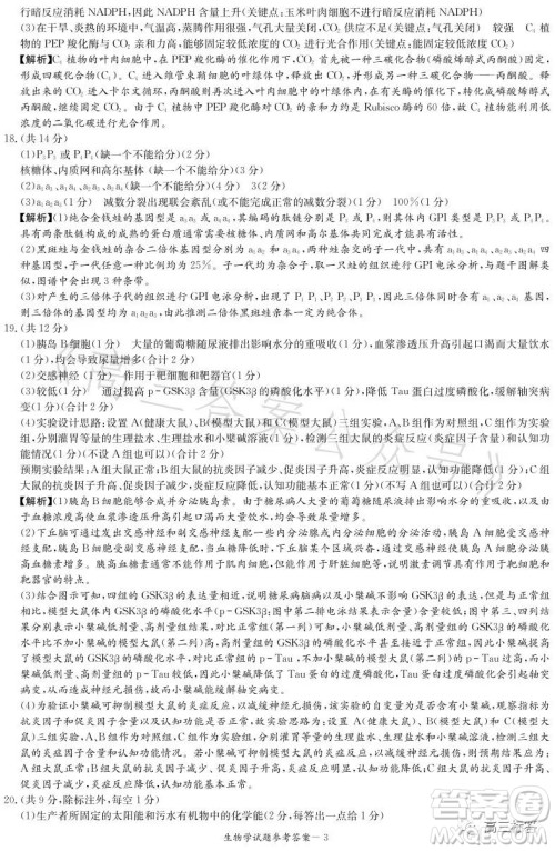 名校联考联合体2023年春季高二期末联考暨新高三适应性联合考试生物学试卷答案 名校联考联合体2023年春季高二期末联考暨新高三适应性联合考试生物学试卷答案