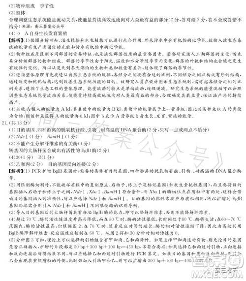 名校联考联合体2023年春季高二期末联考暨新高三适应性联合考试生物学试卷答案 名校联考联合体2023年春季高二期末联考暨新高三适应性联合考试生物学试卷答案