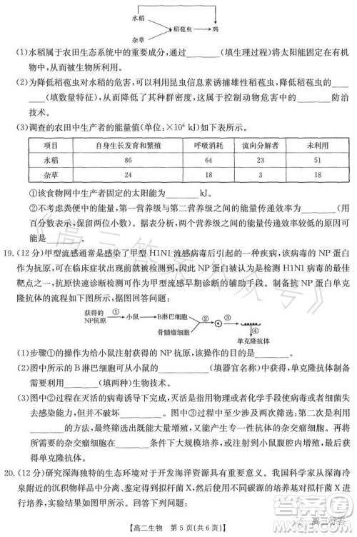 2023江西金太阳联考高二6月联考生物学试卷答案