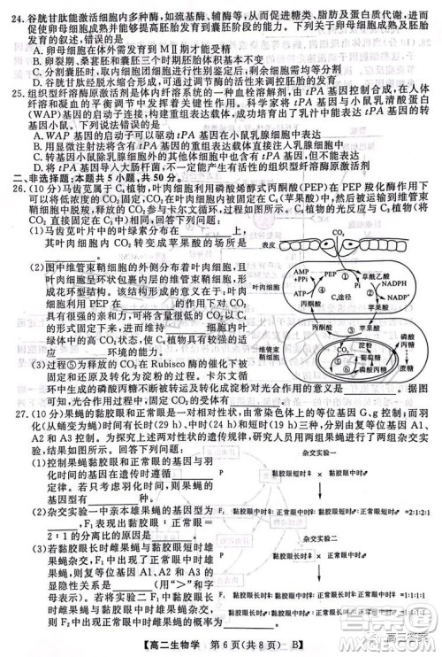 2023年春季学期高二年级7月质量检测生物试卷答案 2023年春季学期高二年级7月质量检测生物试卷答案