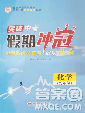 云南大学出版社2023假期冲冠九年级化学人教版参考答案 云南大学出版社2023假期冲冠九年级化学人教版参考答案