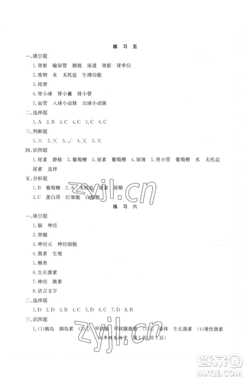 延边教育出版社2023暑假作业七年级合订本A版河南专版参考答案