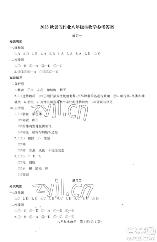 延边教育出版社2023暑假作业八年级合订本华师大版河南专版参考答案