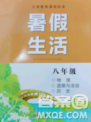 湖南少年儿童出版社2023暑假生活八年级副科合订本通用版参考答案 湖南少年儿童出版社2023暑假生活八年级副科合订本通用版参考答案
