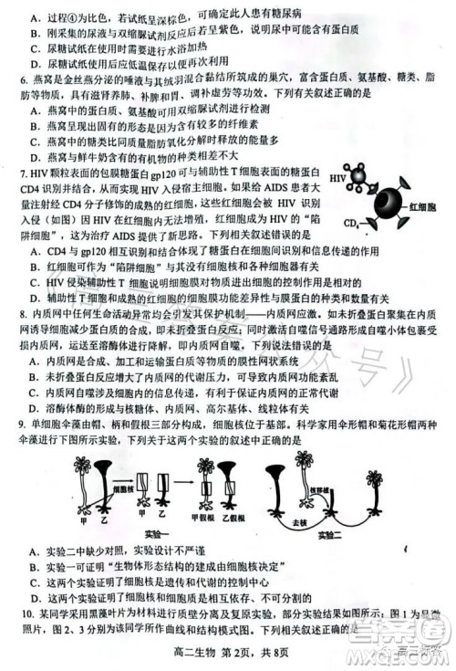 辽宁协作校2022-2023学年度下学期高二期末考试生物学试卷答案 辽宁协作校2022-2023学年度下学期高二期末考试生物学试卷答案