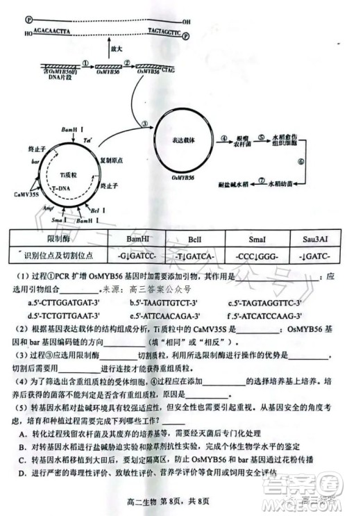 辽宁协作校2022-2023学年度下学期高二期末考试生物学试卷答案