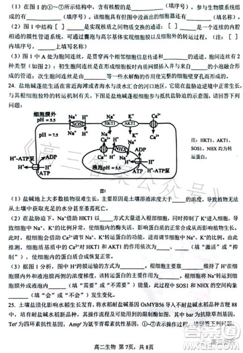 辽宁协作校2022-2023学年度下学期高二期末考试生物学试卷答案