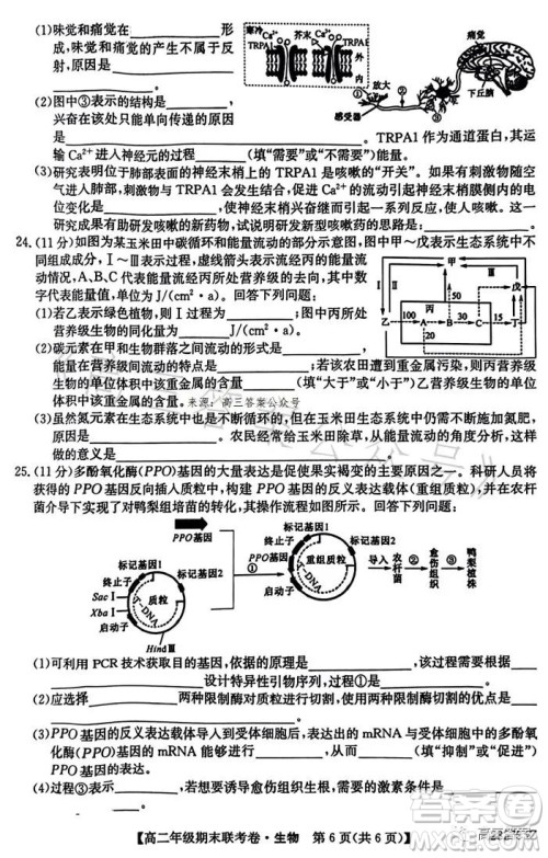 辽宁2023高二下学期期末联考卷232755Z生物学试卷答案