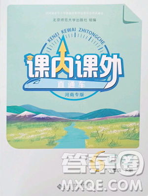 北京师范大学出版社2023课内课外直通车六年级语文人教版河南专版参考答案