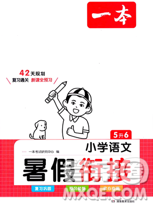湖南教育出版社2023一本暑假衔接5升6语文通用版答案
