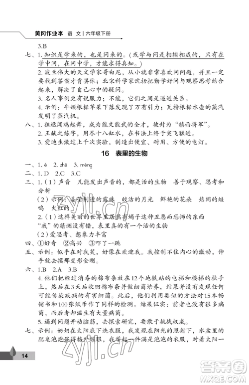 武汉大学出版社2023黄冈作业本六年级下册语文人教版答案