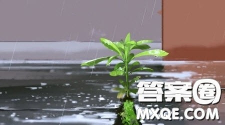 江南的雨主题作文600字 关于写江南的雨的作文600字