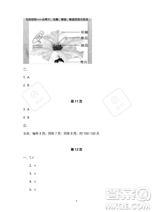 教育科学出版社2023年暑假作业四年级科学教科版答案