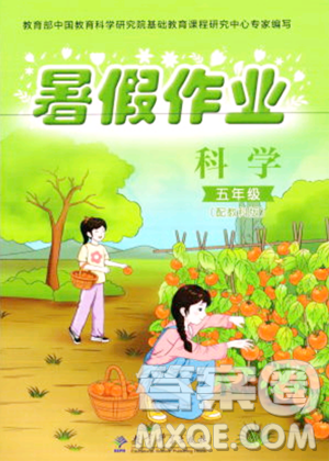教育科学出版社2023年暑假作业五年级科学教科版答案
