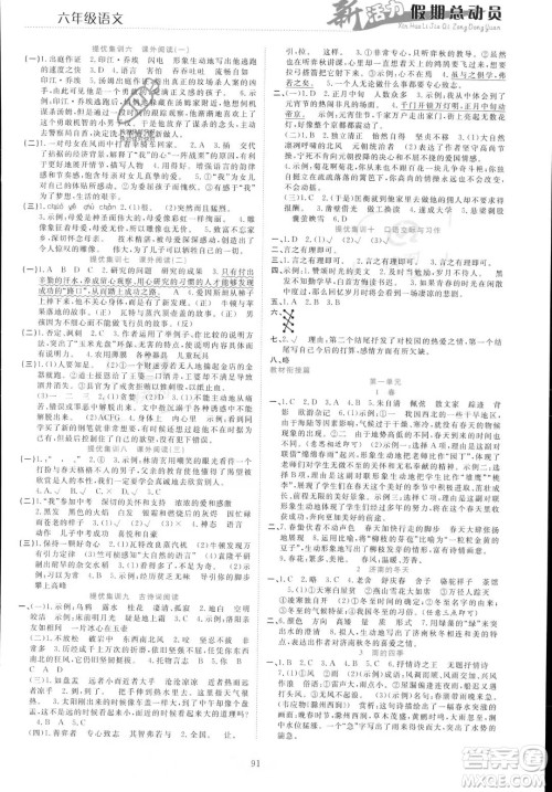 甘肃文化出版社2023年新活力暑假总动员小升初衔接版六年级语文通用版答案