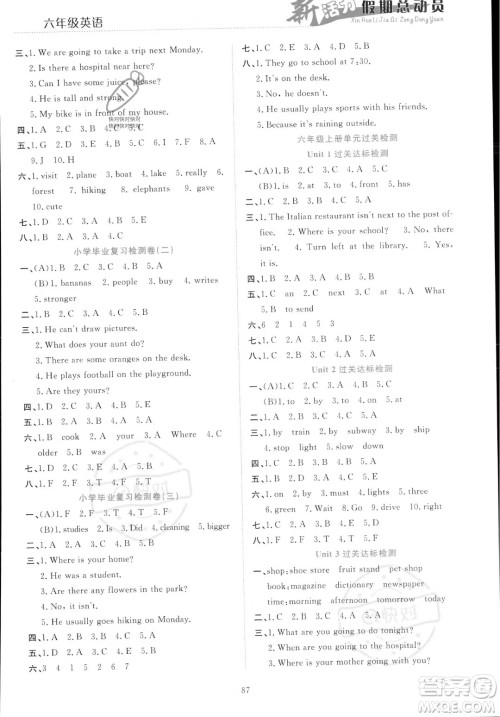 甘肃文化出版社2023年新活力暑假总动员小升初衔接版六年级英语通用版答案