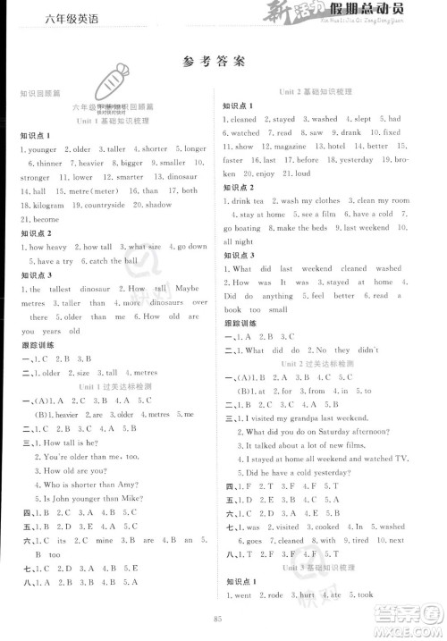 甘肃文化出版社2023年新活力暑假总动员小升初衔接版六年级英语通用版答案