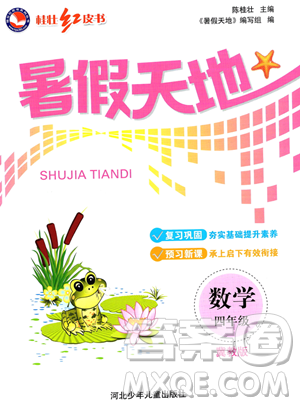 河北少年儿童出版社2023桂壮红皮书暑假天地四年级数学冀教版答案