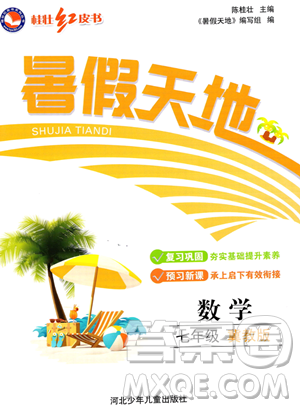 河北少年儿童出版社2023桂壮红皮书暑假天地七年级数学冀教版答案