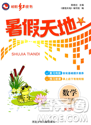 河北少年儿童出版社2023桂壮红皮书暑假天地二年级数学冀教版答案