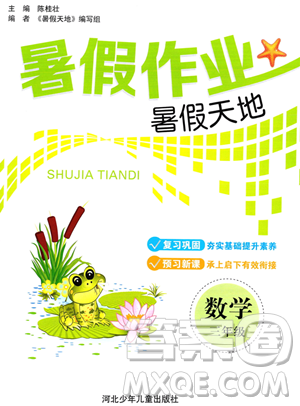 河北少年儿童出版社2023暑假作业暑假天地三年级数学通用版答案