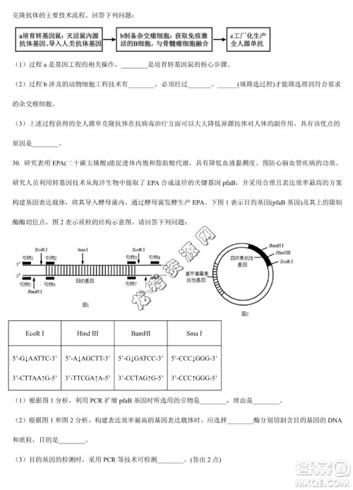 大庆实验中学2022-2023学年高二下学期期末考试生物试题答案