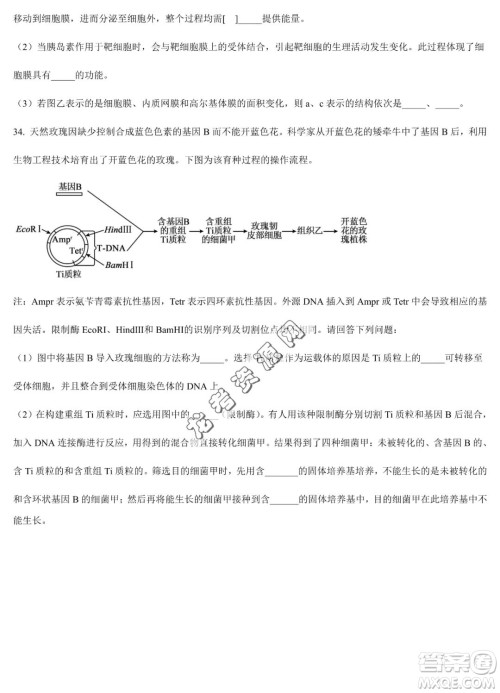 双鸭山市第一中学2022-2023学年高二下学期期末考试生物试卷答案