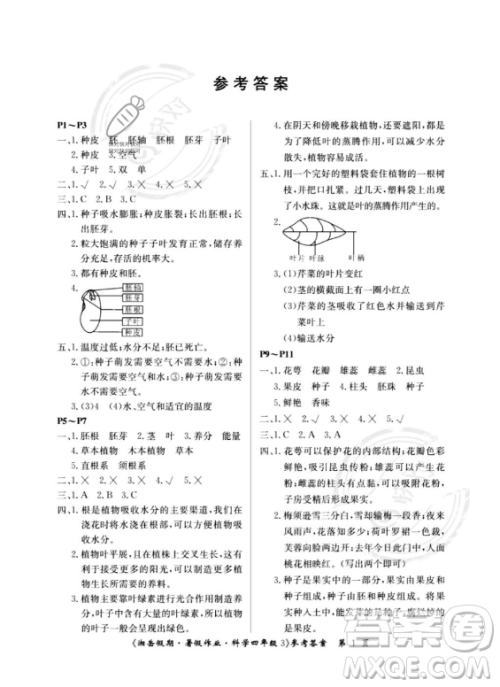 湖南大学出版社2023湘岳假期暑假作业四年级科学湘教版答案