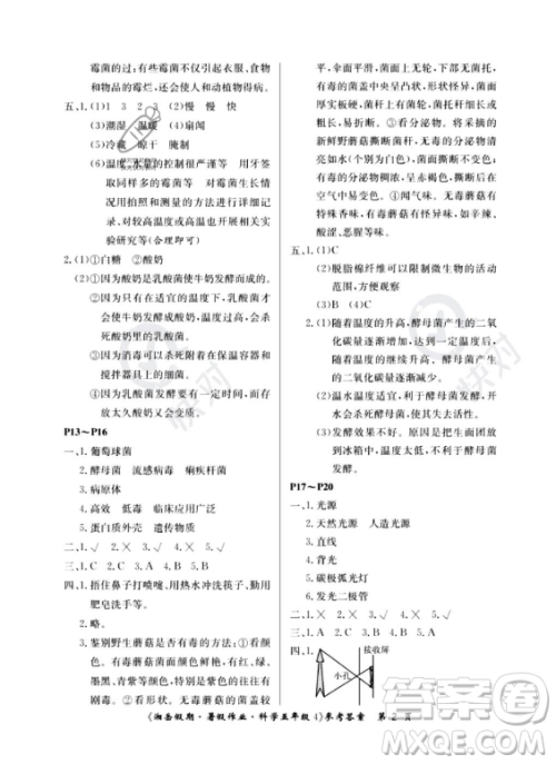 湖南大学出版社2023湘岳假期暑假作业五年级科学通用版答案