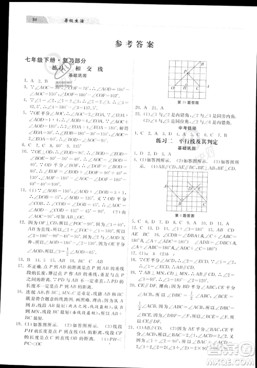 河北美术出版社2023年暑假生活七年级数学通用版答案
