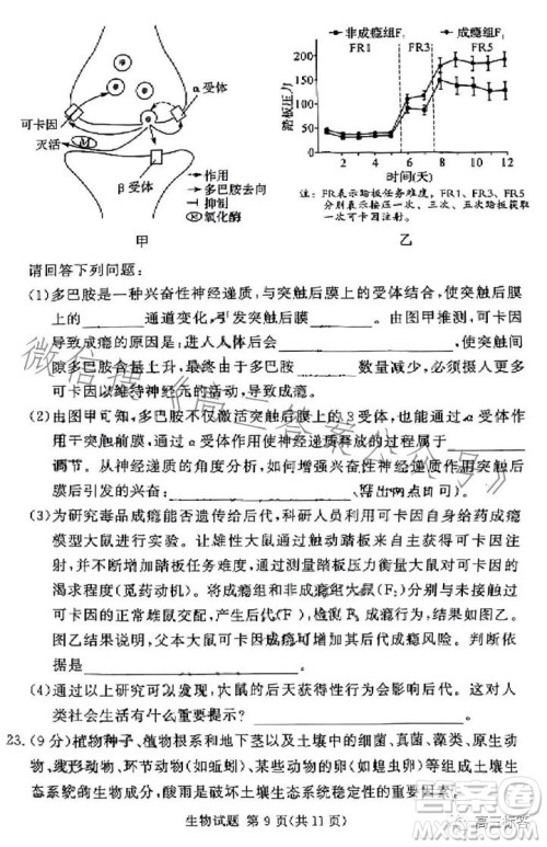 湘豫名校联考2023年8月高三秋季入学摸底考试化学试卷答案