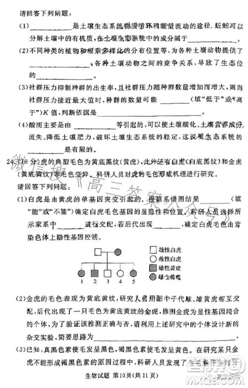 湘豫名校联考2023年8月高三秋季入学摸底考试化学试卷答案
