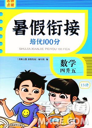 江苏凤凰美术出版社2023年名师点拨暑假衔接培优100分四升五年级数学通用版答案