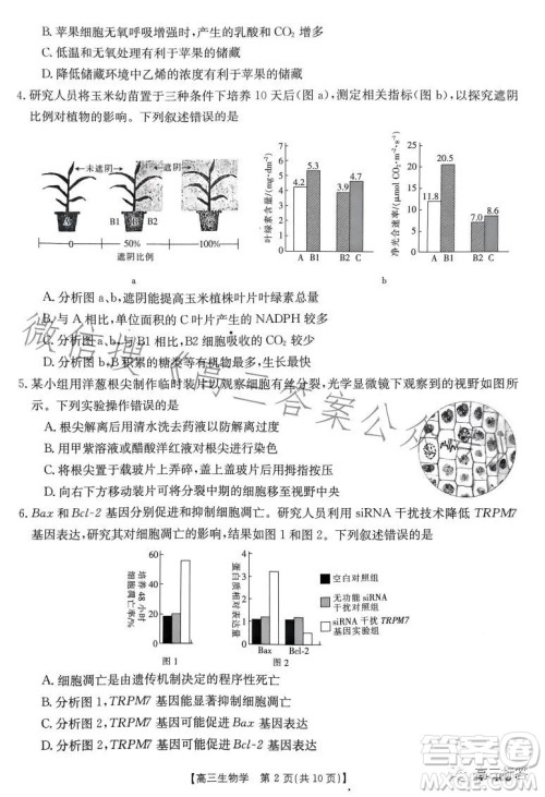 2024届河南省金太阳高三名校联考入学摸底考试生物试卷答案 2024届河南省金太阳高三名校联考入学摸底考试生物试卷答案