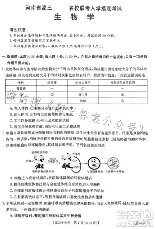 2024届河南省金太阳高三名校联考入学摸底考试生物试卷答案 2024届河南省金太阳高三名校联考入学摸底考试生物试卷答案