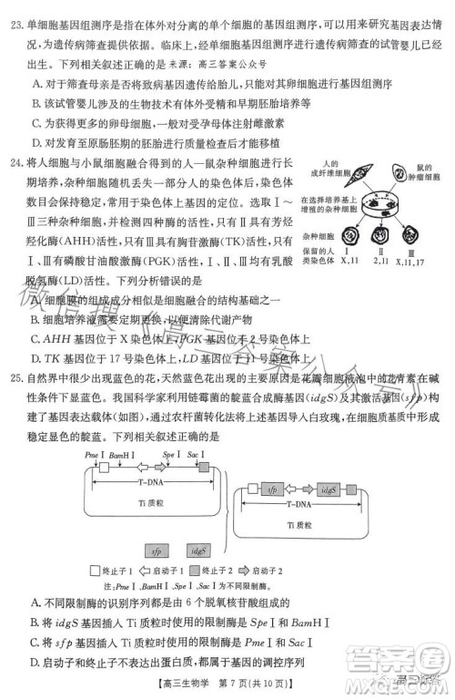 2024届河南省金太阳高三名校联考入学摸底考试生物试卷答案 2024届河南省金太阳高三名校联考入学摸底考试生物试卷答案