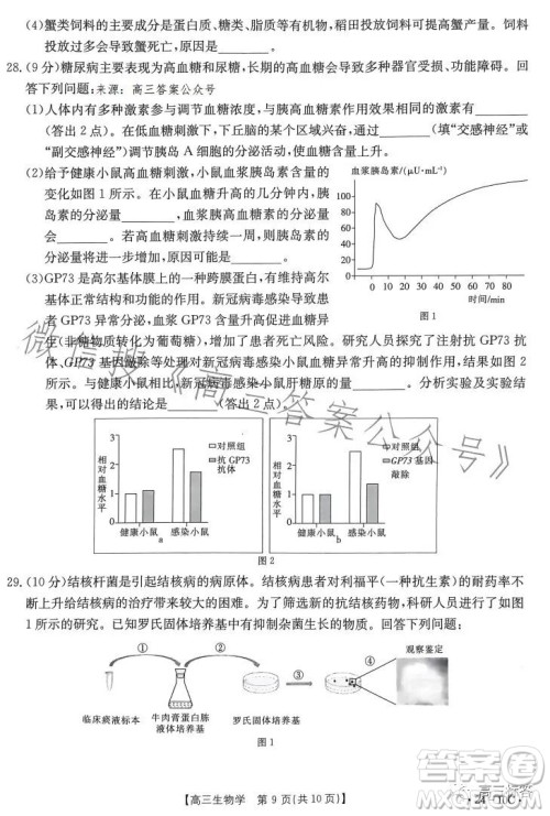 2024届河南省金太阳高三名校联考入学摸底考试生物试卷答案 2024届河南省金太阳高三名校联考入学摸底考试生物试卷答案