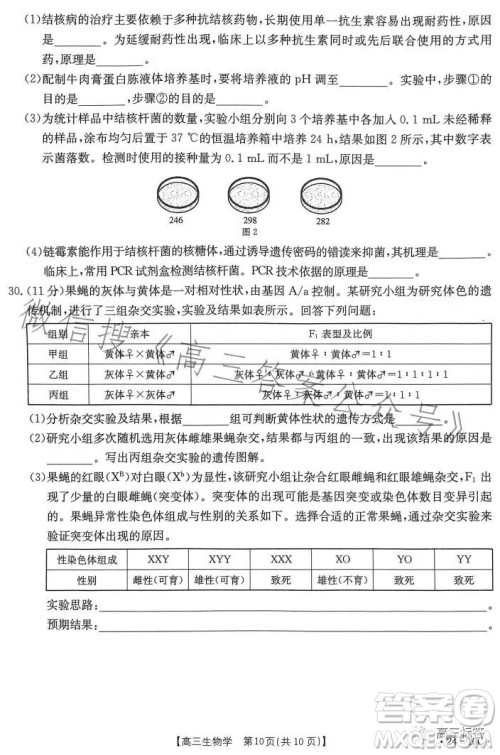 2024届河南省金太阳高三名校联考入学摸底考试生物试卷答案 2024届河南省金太阳高三名校联考入学摸底考试生物试卷答案