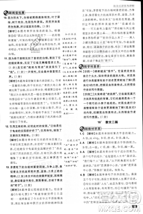 开明出版社2024届初中必刷题八年级上册语文人教版答案