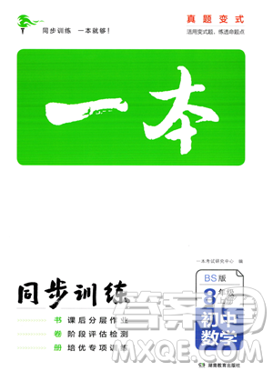 湖南教育出版社2023年一本同步训练八年级上册数学北师大版答案