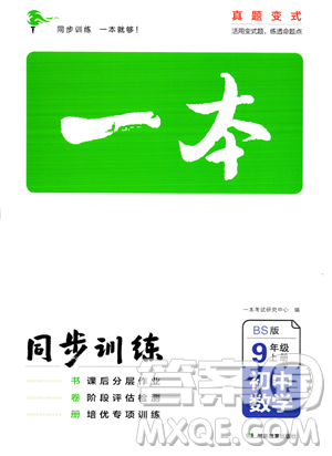 湖南教育出版社2023年一本同步训练九年级上册数学北师大版答案