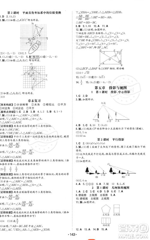 湖南教育出版社2023年一本同步训练九年级上册数学北师大版答案