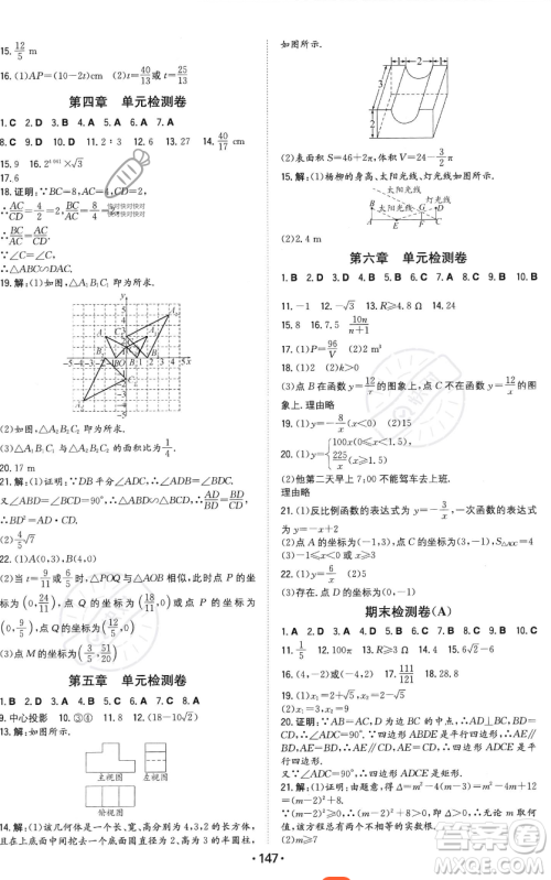 湖南教育出版社2023年一本同步训练九年级上册数学北师大版答案