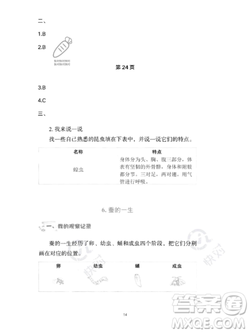 教育科学出版社2023年暑假作业三年级科学教科版答案