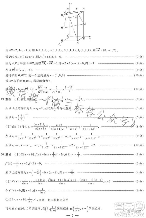 天一大联考顶尖计划2024届高中毕业班第一次考试数学试卷答案