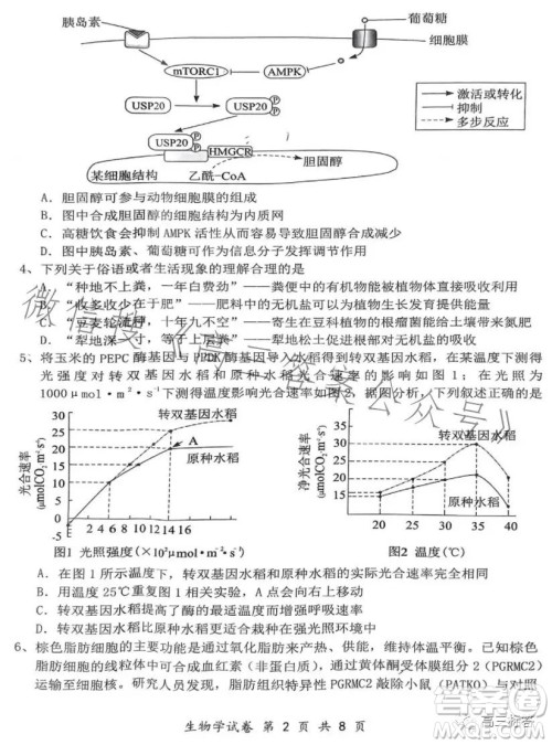 腾云联盟2023-2024学年度上学期高三年级八月联考生物试卷答案