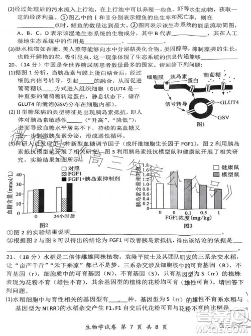 腾云联盟2023-2024学年度上学期高三年级八月联考生物试卷答案