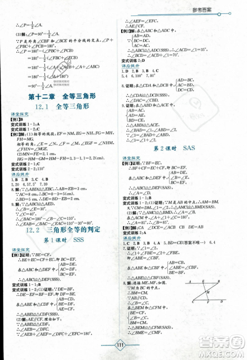 湖南教育出版社2023学法大视野八年级上册数学人教版答案